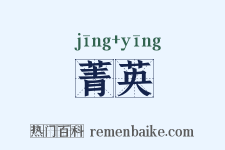 菁英是什么意思的图片